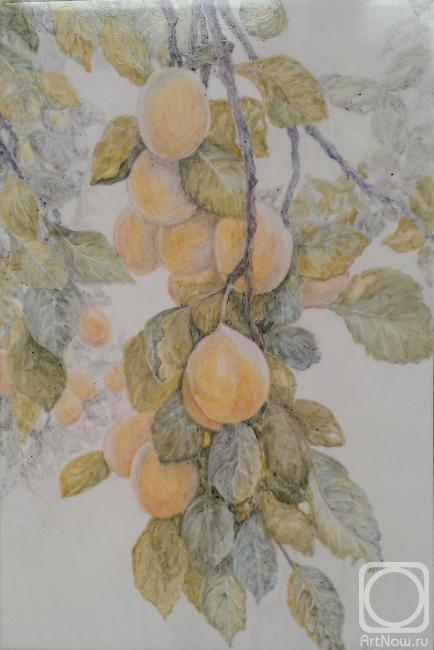 ������ �����. ����� ����� ����� (������)