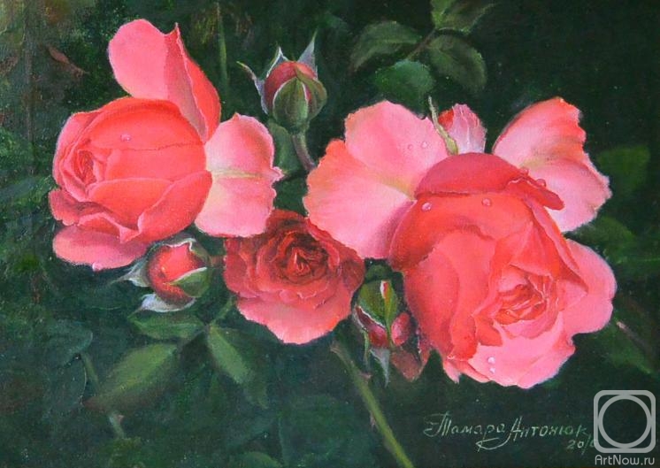 ������� ������ �� ������. ������� ������. �������� ����