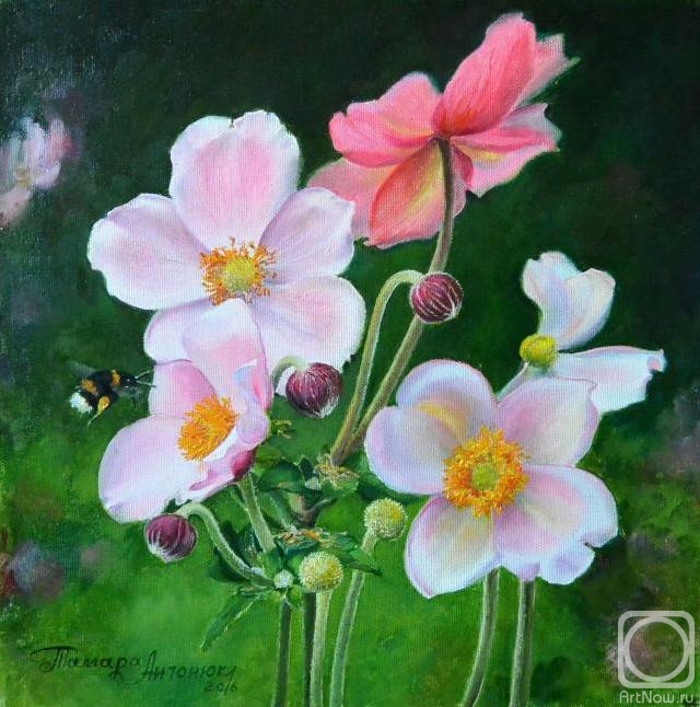 ������� ������ �� ������. ������� ������. ��, ����!