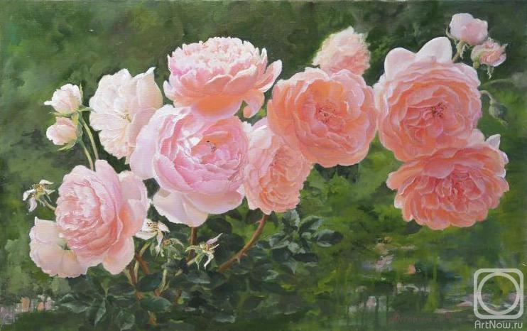 ������� ������ �� ������. ������� ������. ��������� ����