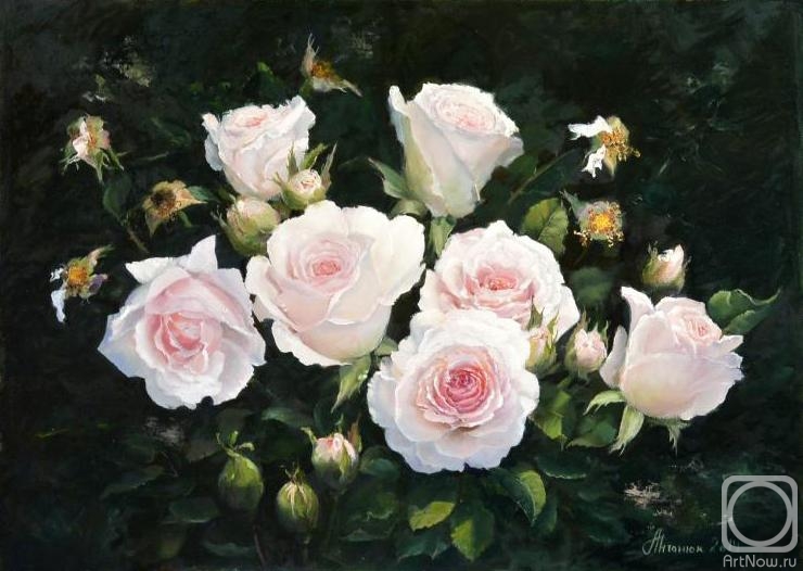 ������� ������ �� ������. ������� ������. ��������