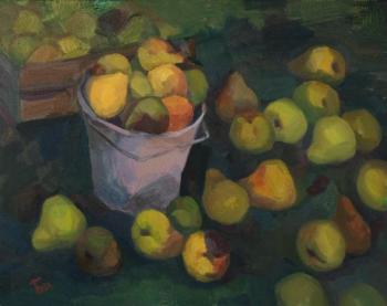 Pears. Harvest. Bitsenti Olga