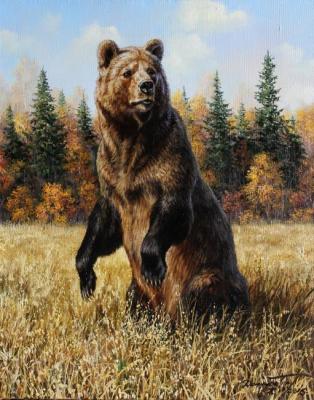 Bear on oats. Danchurova Tatyana