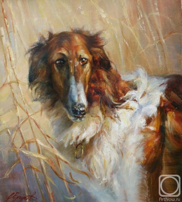 Yekimov Vladimir. Russian Greyhound
