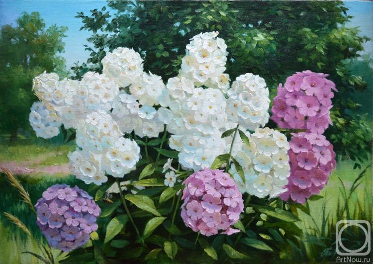 ������� ������ �� ������. �������� ����. ������