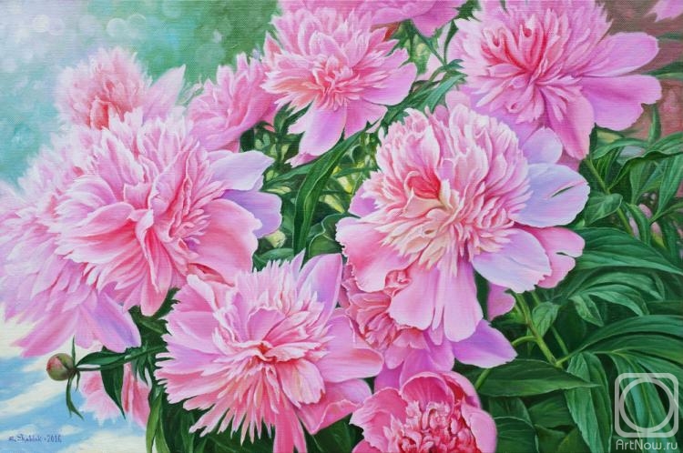 ������� ������ �� ������. ������ ������. �����