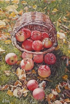 Apples. Volya Alexander