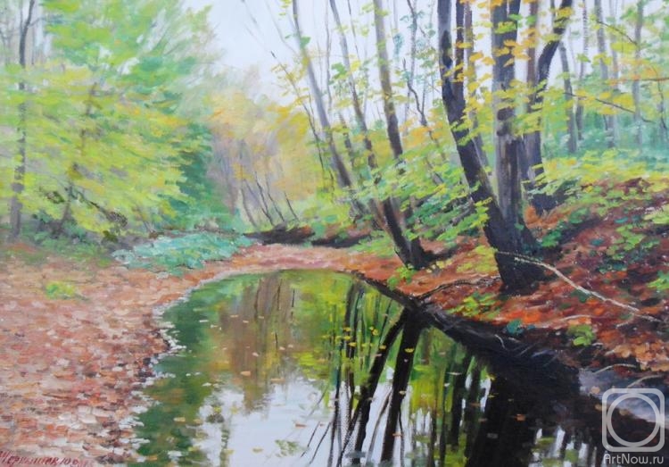 Chernyshev Andrei. Early autumn, stream in the forest