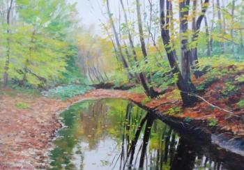 Early autumn, stream in the forest. Chernyshev Andrei
