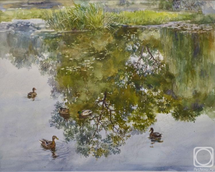 �������. �������� �������. ����