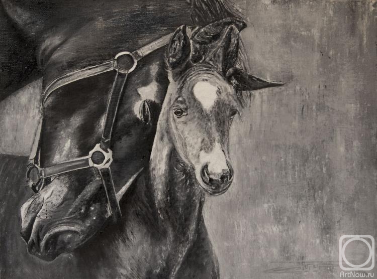 ������� ������ �� ������. ��������� ����. ����