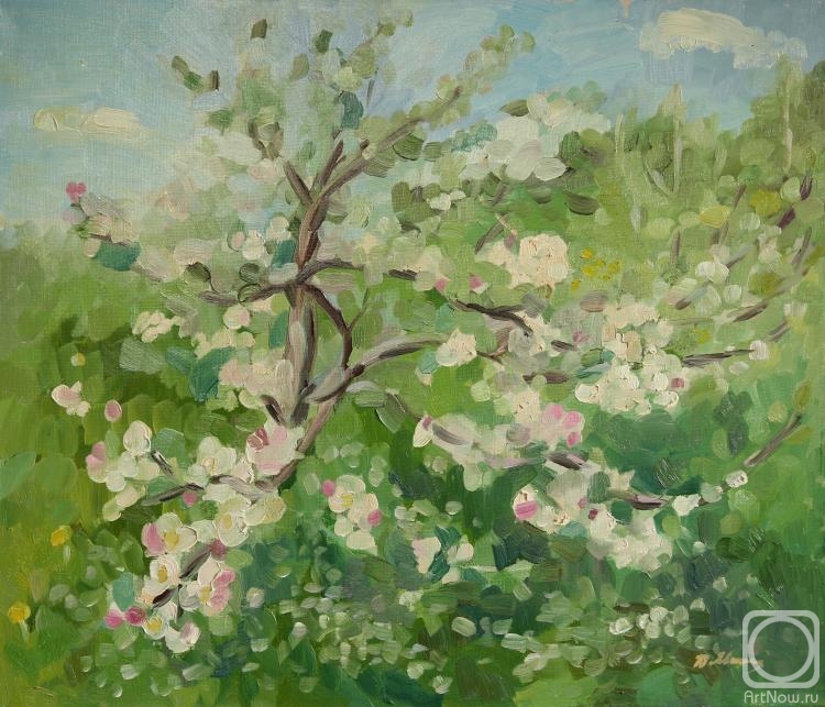 Yavisheva Tatiana. Apple tree in bloom