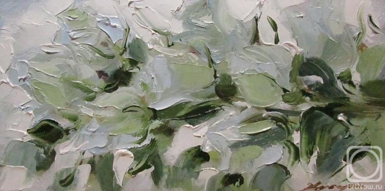 ������� ������ �� ������. ������ �������. ����� ����