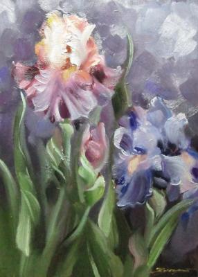 ������� �������