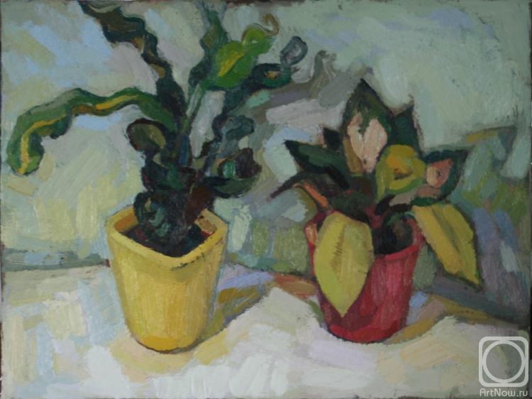 �������. �������� ������. ������ �������