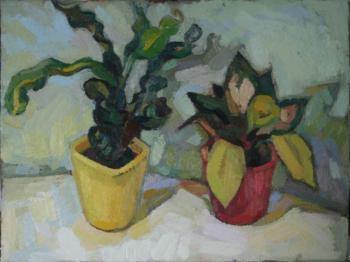 ������ �������. �������� ������