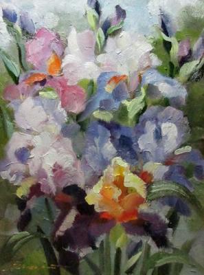 ������� ������ ������������