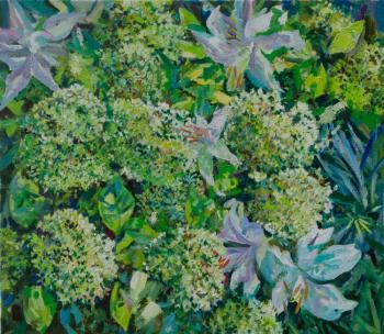 ������� ������ � ����