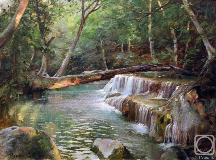Nekrasov Evgeny. The lost waterfall