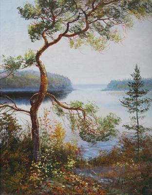 Pine. Kulikov Vladimir
