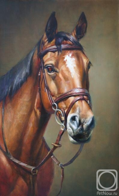 Yekimov Vladimir. Portrait of a horse -champion