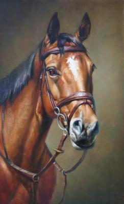 Portrait of a horse -champion (). Yekimov Vladimir