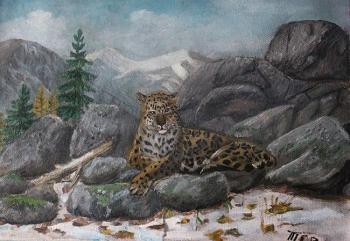 Far Eastern leopard. Tertychnaya Natalya