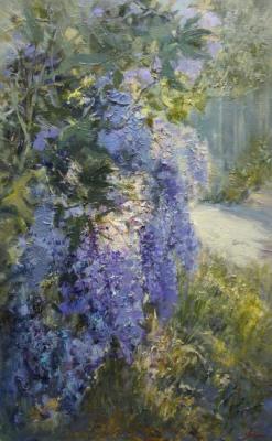 ��������. ���������� ���������