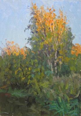 Autumn Etude. Birches on the shore. Chertov Sergey
