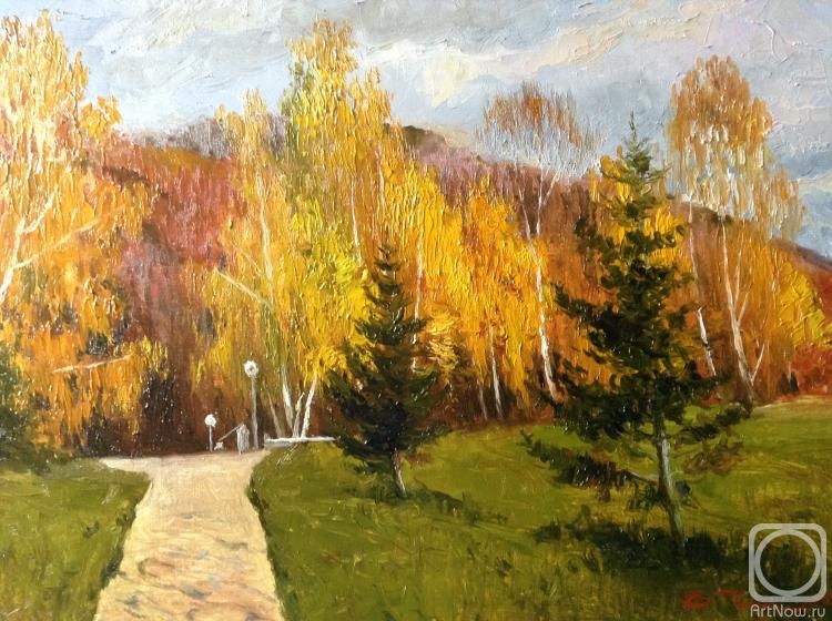 Chelyaev Vadim. The road to the spring