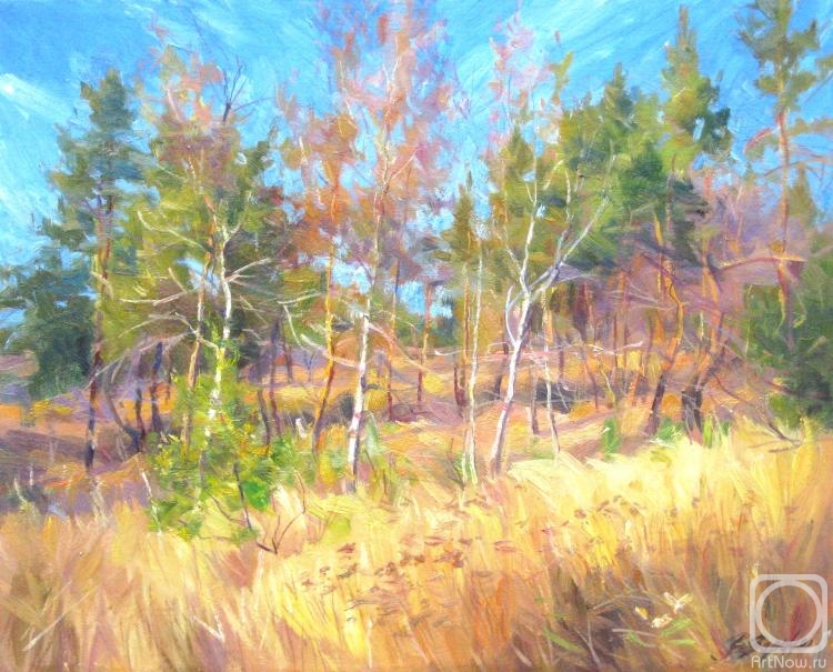 ������� ������ �� ������. ������� ��������. �������. ��������� ����