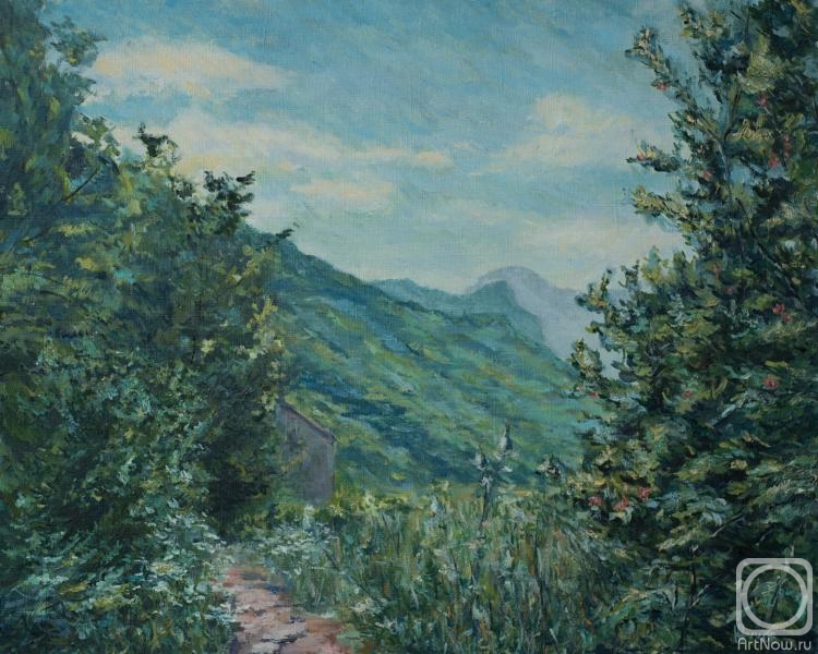 Zhukov Alexey. Montenegro