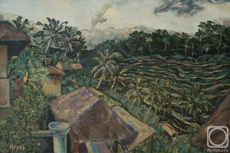 Zhukov Alexey. Rice terraces, Bali