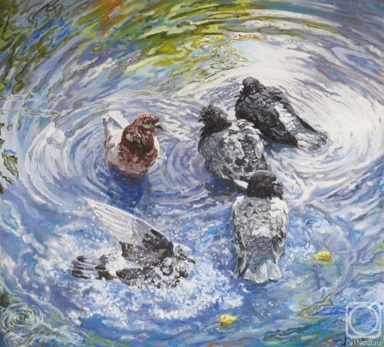 Tsygankov Alexander. Pigeons bathe