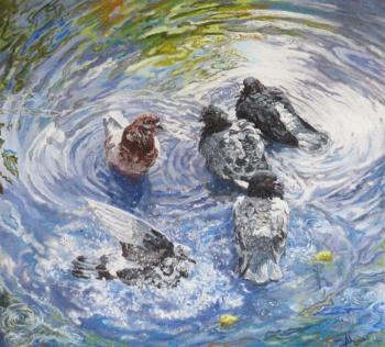 Pigeons bathe. Tsygankov Alexander