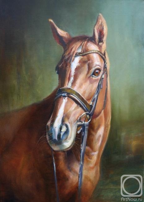 Yekimov Vladimir. ����