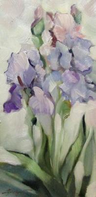 ������� �������