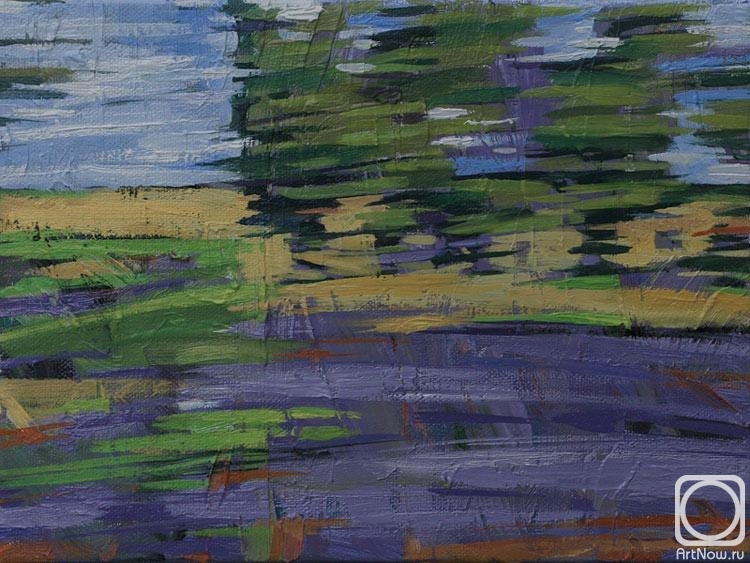 Goda Laima. Driving past lavender field