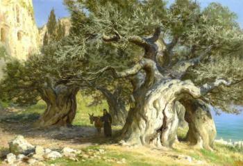 Among the ancient olives