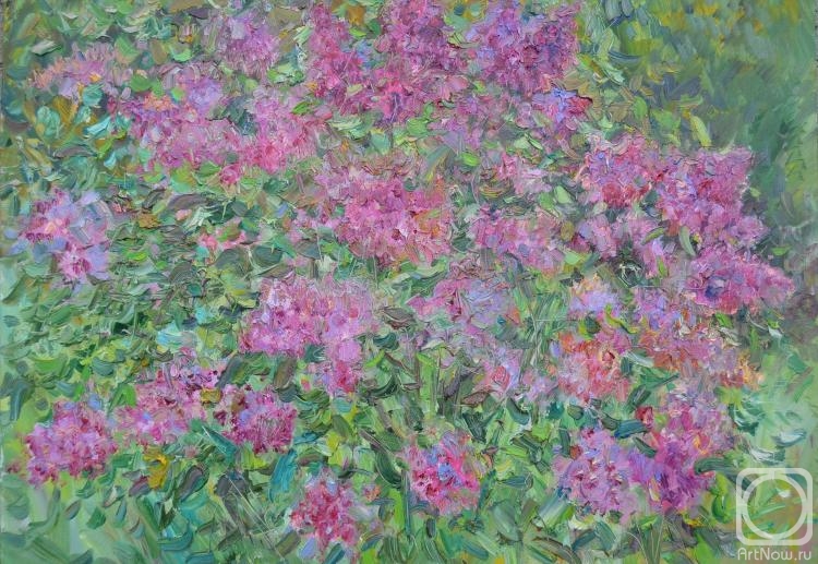 ������� ������ �� ������. ������� �������. ������ ��������