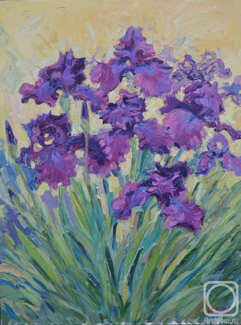 Deryabin Evgeniy. Purple iris