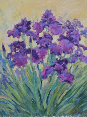 Purple iris. Deryabin Evgeniy