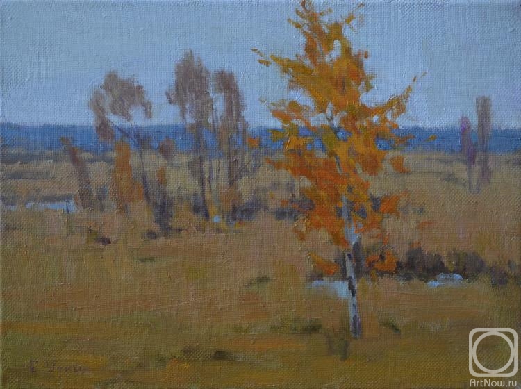 ������� ������ �� ������. ����� �������. ����� ������