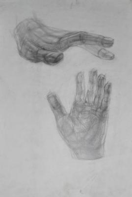 Hands. Efimova Ulya