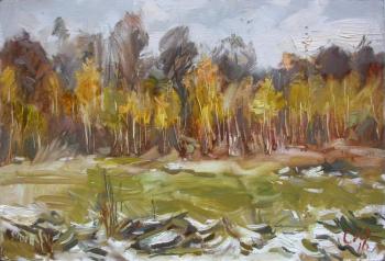 ���������� ������� (������). ������� ����