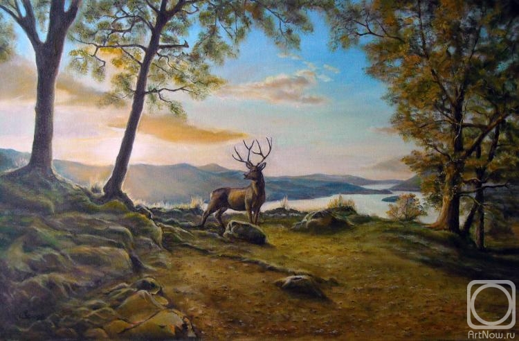 ������� ������ �� ������. ������� ������. ���� � �����