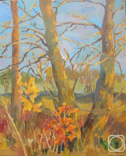 ������� ������ �� ������. ���������� �����. � � ������� ������ ������