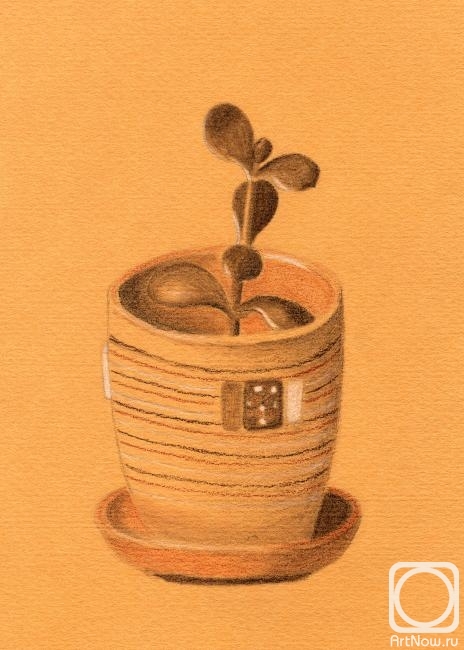 Rustamian Julia. Flower in a pot