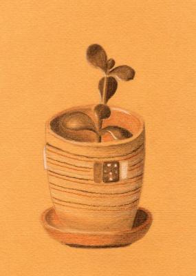 Flower in a pot ( ). Rustamian Julia