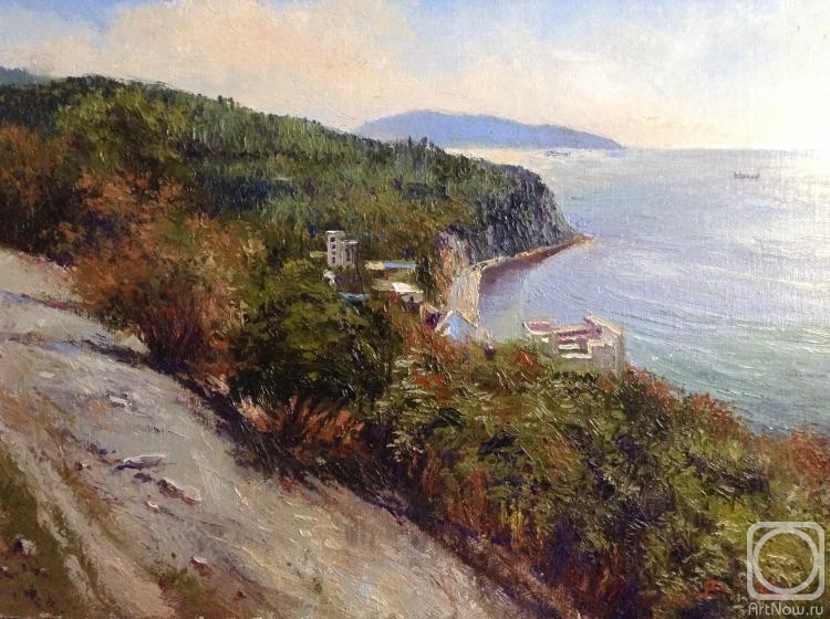 Chelyaev Vadim. Black sea coast
